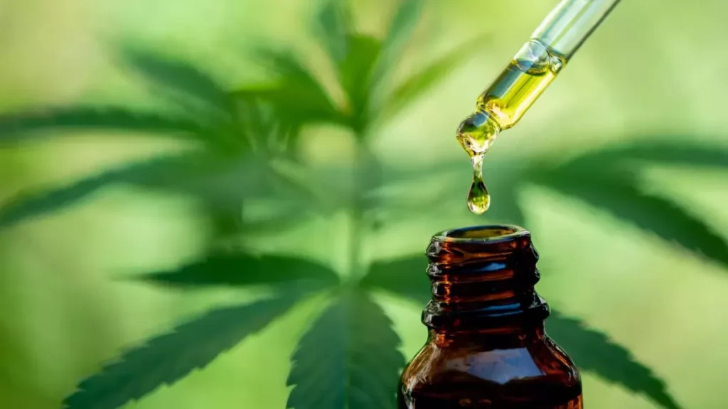 CBD Oil