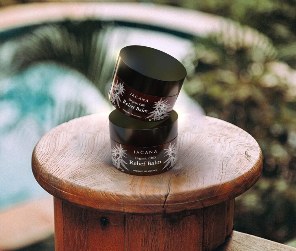 Are CBD Products Vegan Friendly? A Look at Ethical Cannabis-Infused Beauty